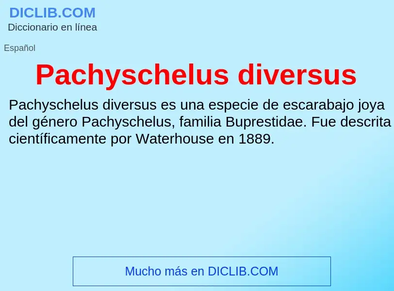 ¿Qué es Pachyschelus diversus? - significado y definición