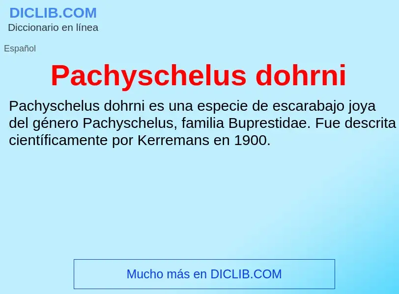 ¿Qué es Pachyschelus dohrni? - significado y definición