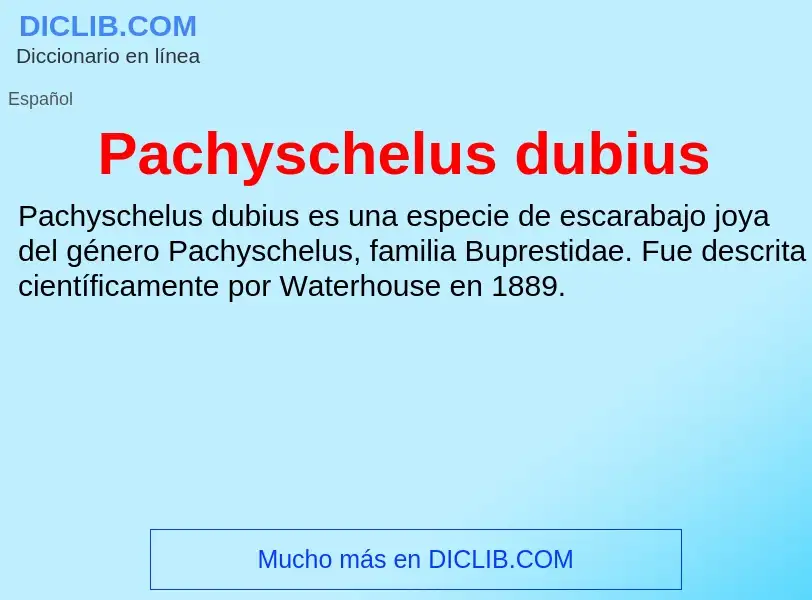 ¿Qué es Pachyschelus dubius? - significado y definición