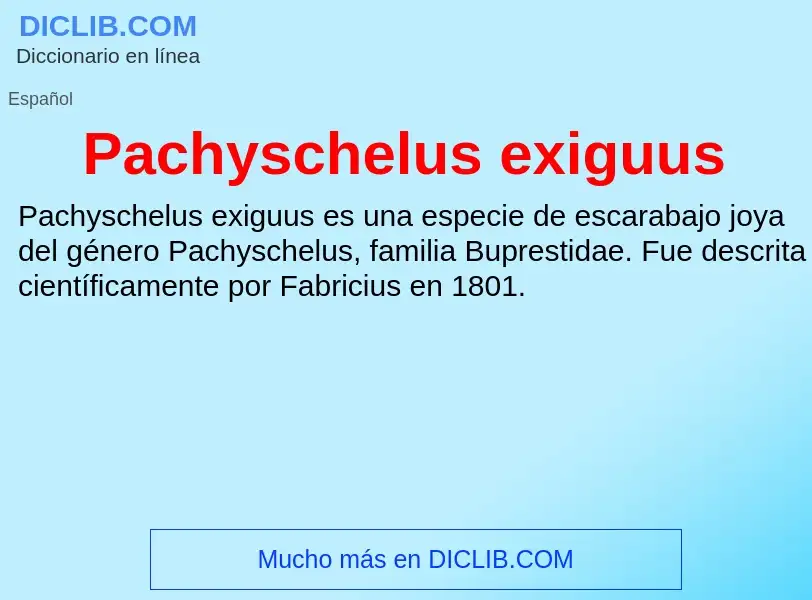 ¿Qué es Pachyschelus exiguus? - significado y definición