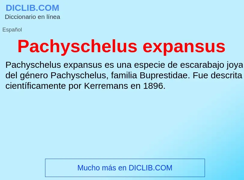 ¿Qué es Pachyschelus expansus? - significado y definición