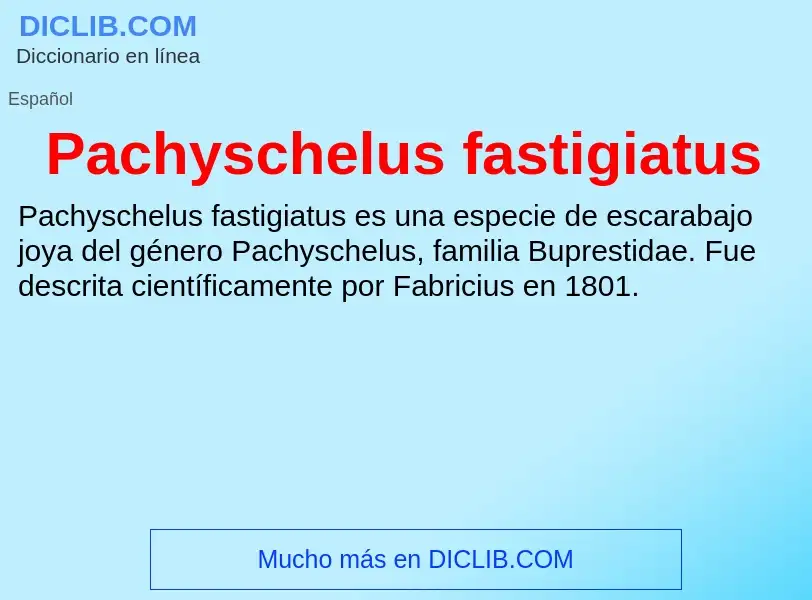 ¿Qué es Pachyschelus fastigiatus? - significado y definición