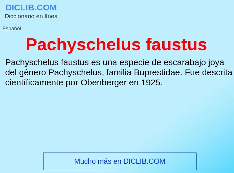 ¿Qué es Pachyschelus faustus? - significado y definición