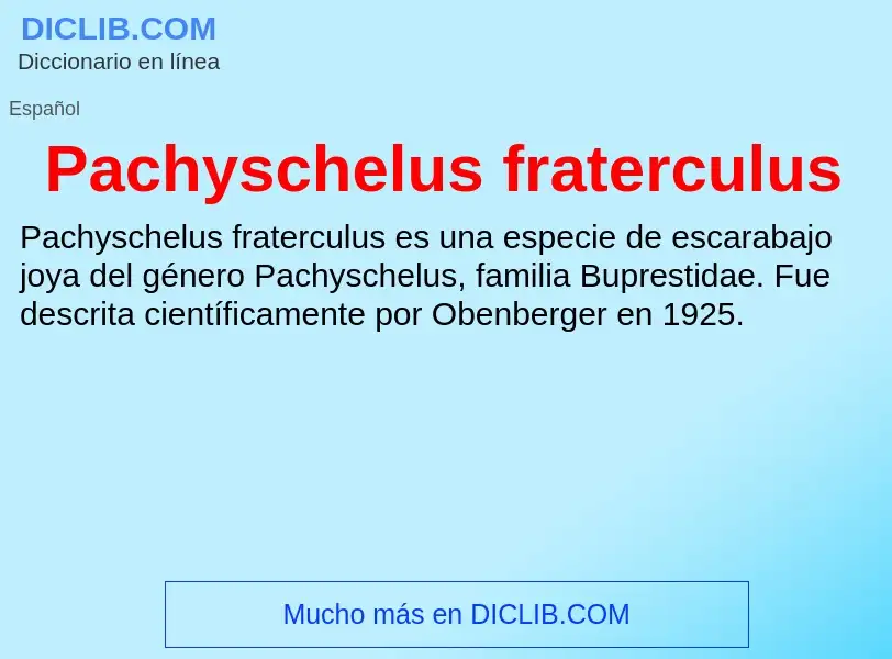 ¿Qué es Pachyschelus fraterculus? - significado y definición