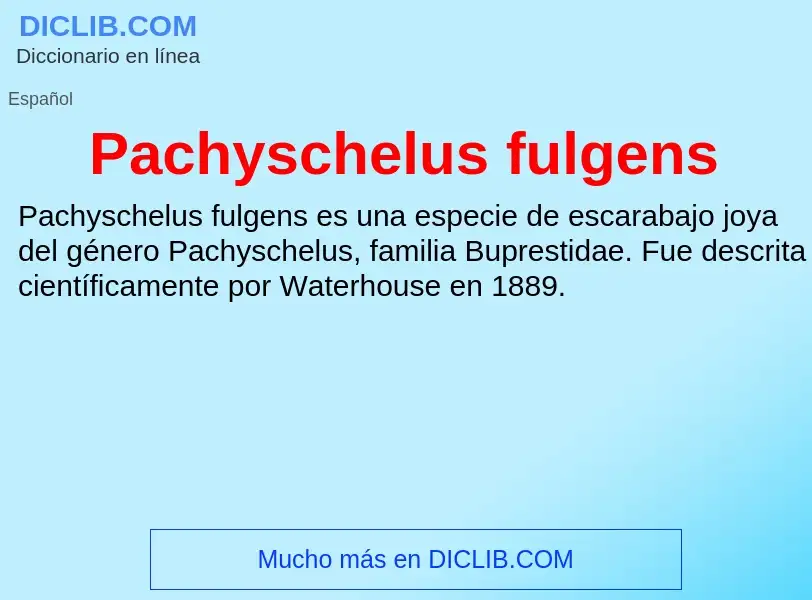 ¿Qué es Pachyschelus fulgens? - significado y definición