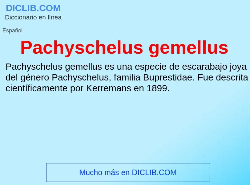 ¿Qué es Pachyschelus gemellus? - significado y definición