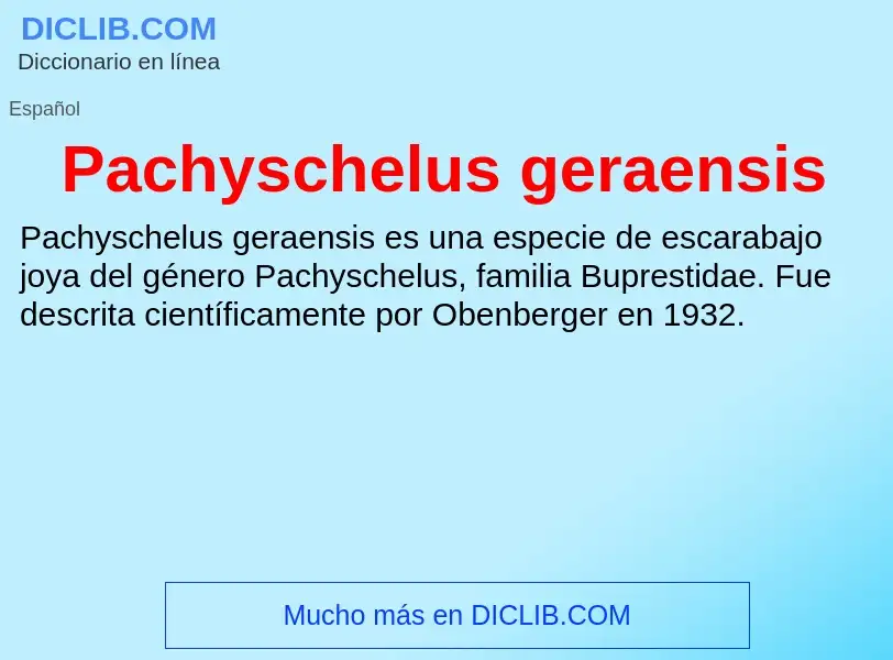 ¿Qué es Pachyschelus geraensis? - significado y definición