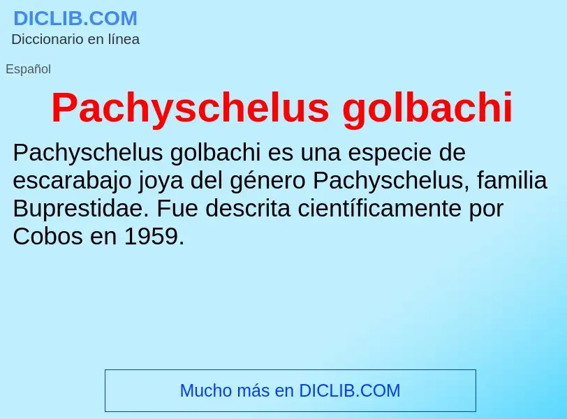 ¿Qué es Pachyschelus golbachi? - significado y definición