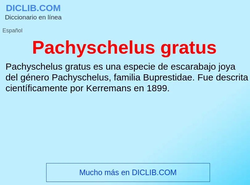 ¿Qué es Pachyschelus gratus? - significado y definición