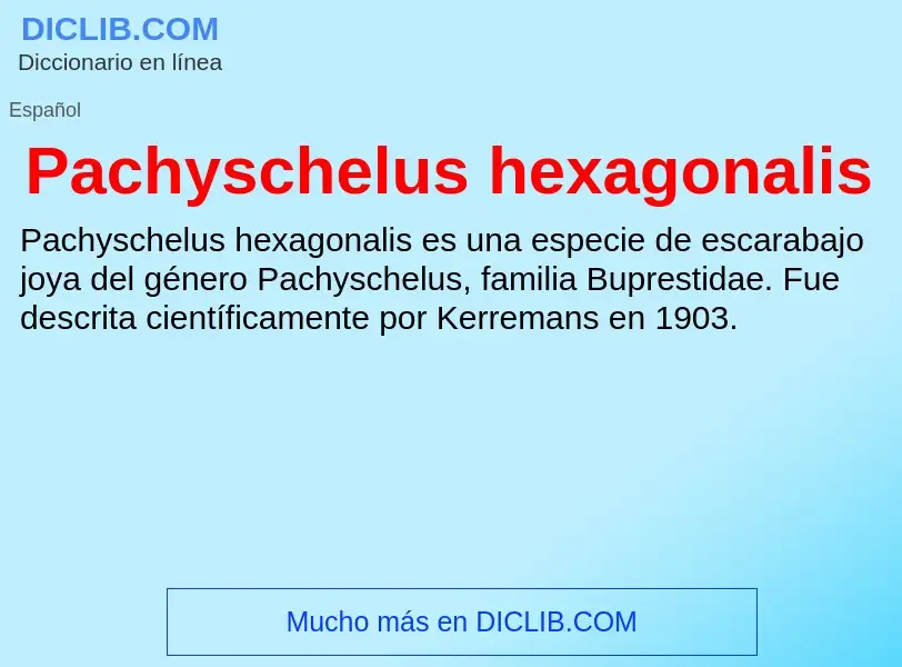 ¿Qué es Pachyschelus hexagonalis? - significado y definición