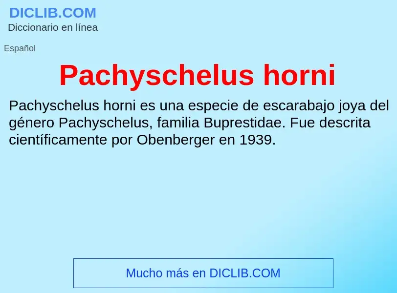 ¿Qué es Pachyschelus horni? - significado y definición