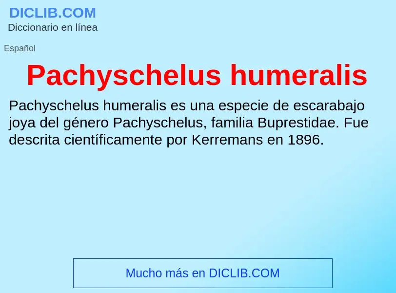 ¿Qué es Pachyschelus humeralis? - significado y definición