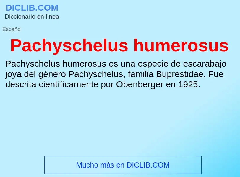 ¿Qué es Pachyschelus humerosus? - significado y definición