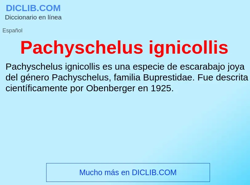 ¿Qué es Pachyschelus ignicollis? - significado y definición