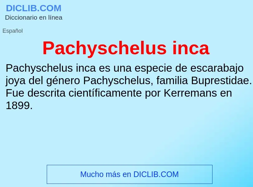 ¿Qué es Pachyschelus inca? - significado y definición