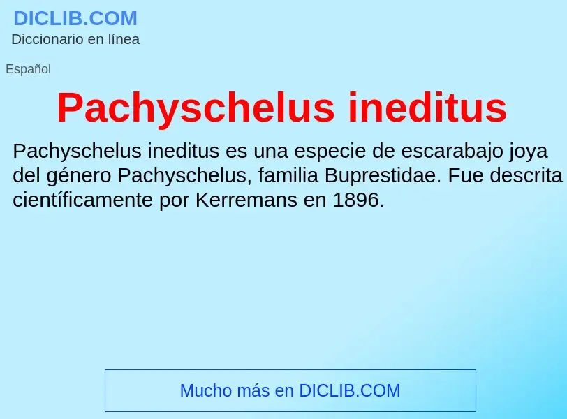 ¿Qué es Pachyschelus ineditus? - significado y definición