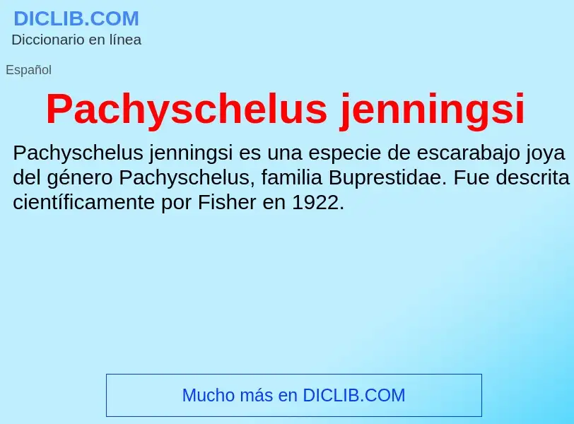 ¿Qué es Pachyschelus jenningsi? - significado y definición