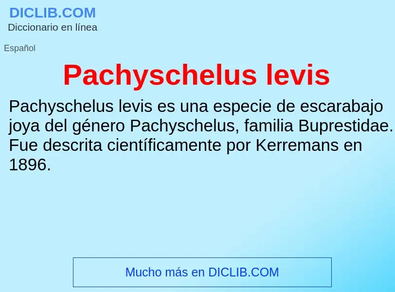 ¿Qué es Pachyschelus levis? - significado y definición