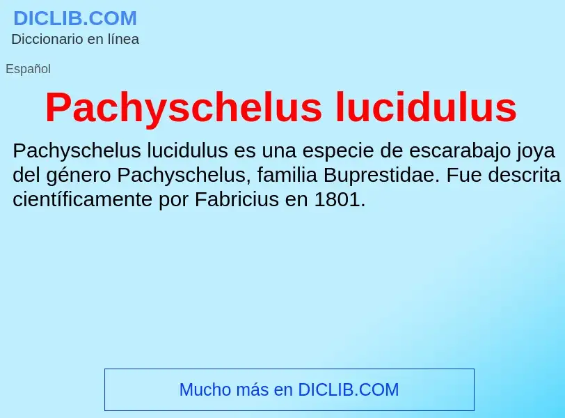 ¿Qué es Pachyschelus lucidulus? - significado y definición