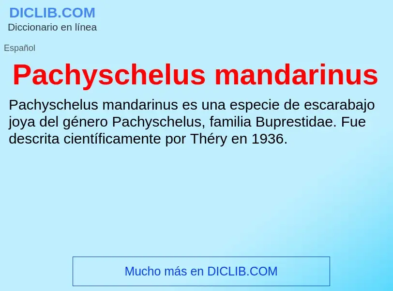 ¿Qué es Pachyschelus mandarinus? - significado y definición