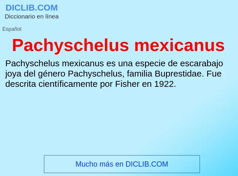 ¿Qué es Pachyschelus mexicanus? - significado y definición