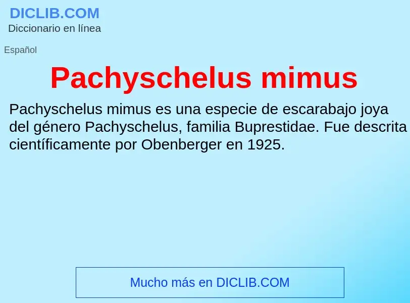 ¿Qué es Pachyschelus mimus? - significado y definición