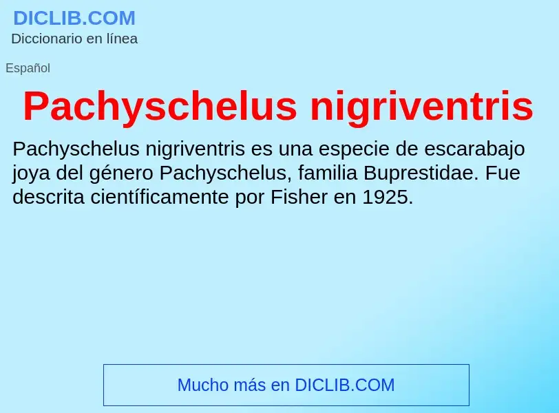 ¿Qué es Pachyschelus nigriventris? - significado y definición