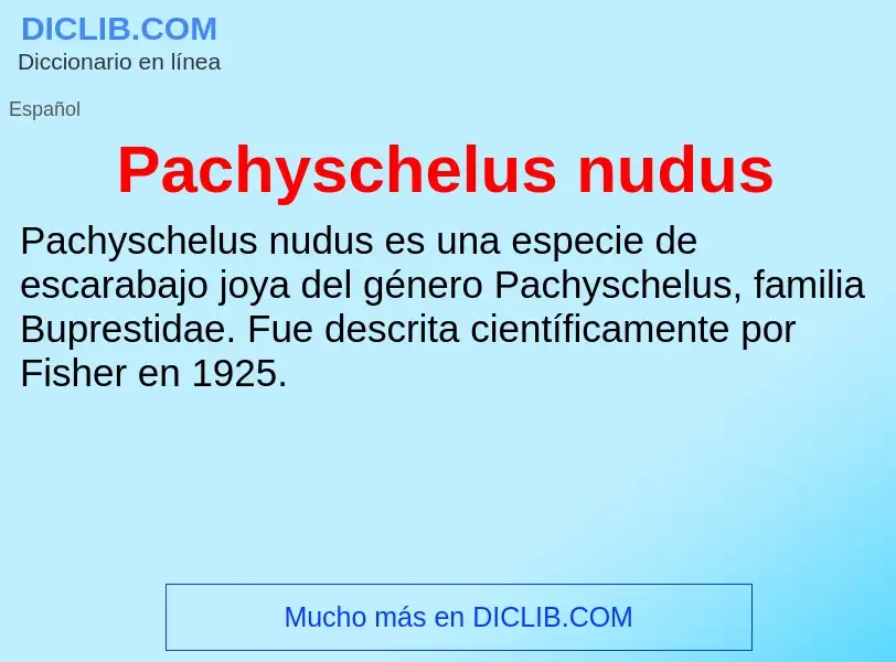 ¿Qué es Pachyschelus nudus? - significado y definición