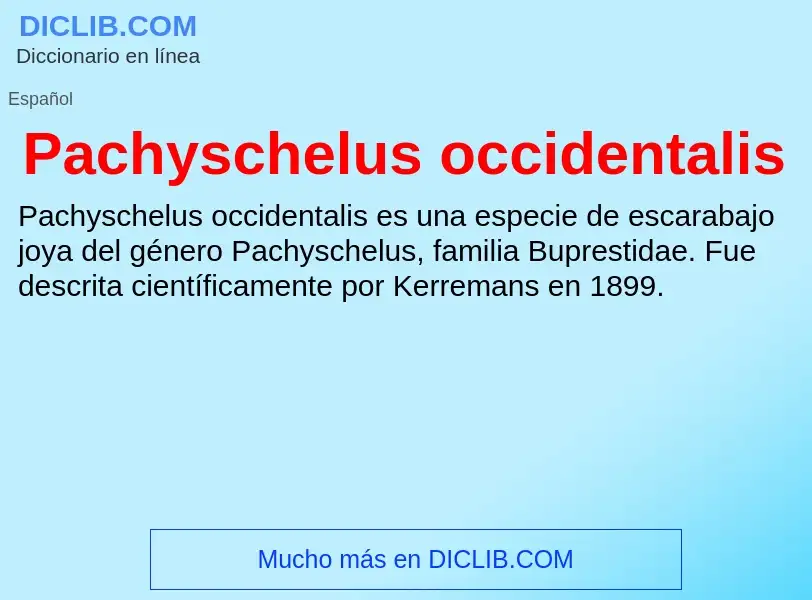 ¿Qué es Pachyschelus occidentalis? - significado y definición