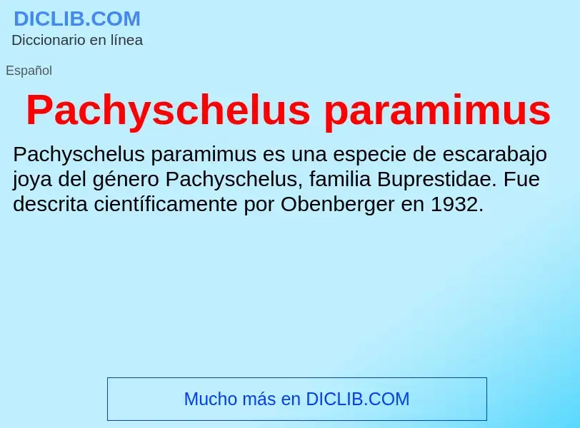 ¿Qué es Pachyschelus paramimus? - significado y definición