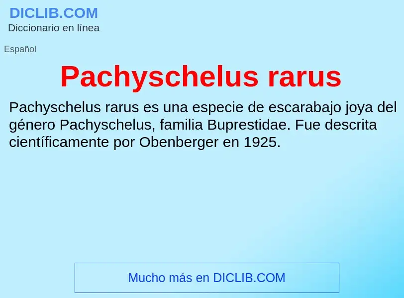 ¿Qué es Pachyschelus rarus? - significado y definición