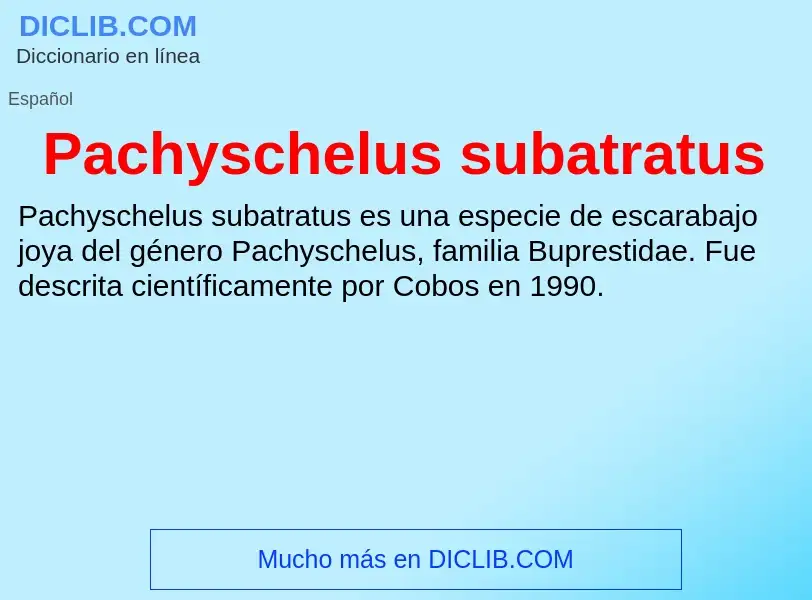 ¿Qué es Pachyschelus subatratus? - significado y definición