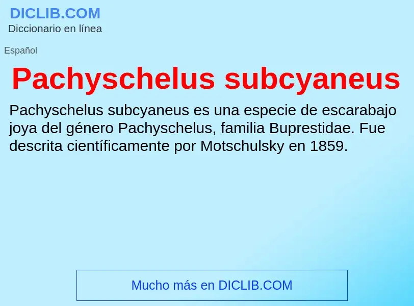 ¿Qué es Pachyschelus subcyaneus? - significado y definición