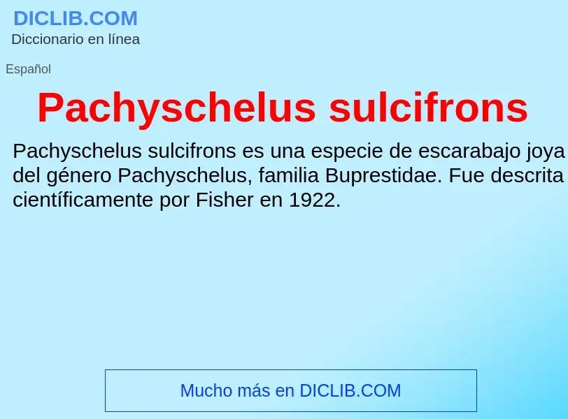 ¿Qué es Pachyschelus sulcifrons? - significado y definición