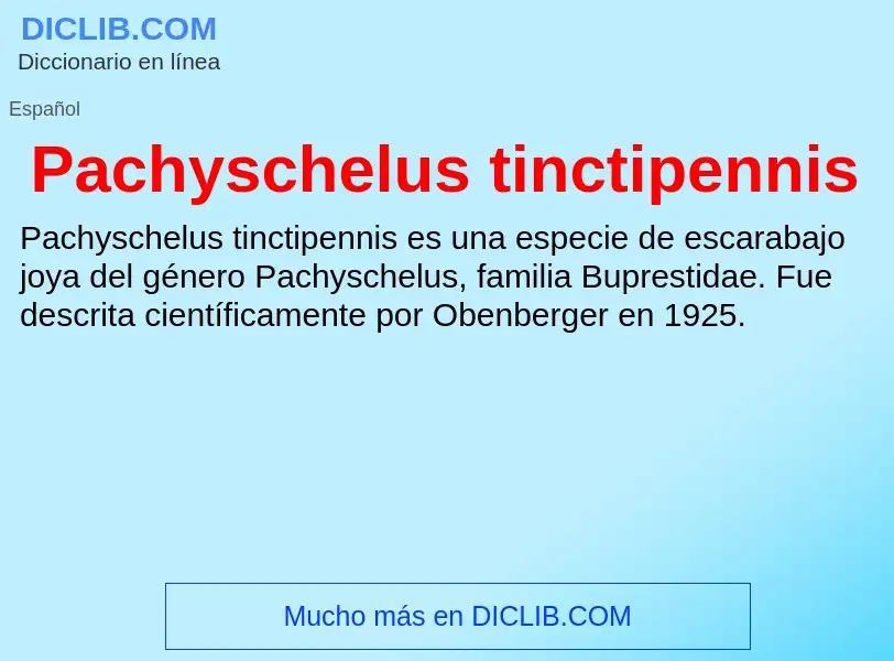 ¿Qué es Pachyschelus tinctipennis? - significado y definición