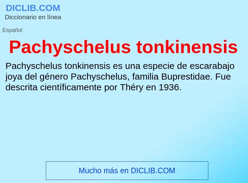 ¿Qué es Pachyschelus tonkinensis? - significado y definición