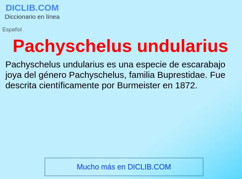 ¿Qué es Pachyschelus undularius? - significado y definición