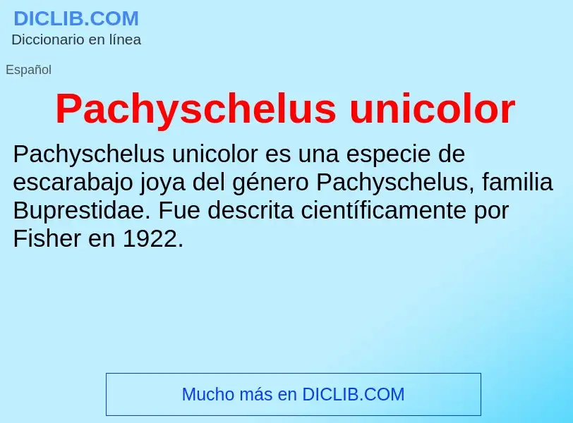 ¿Qué es Pachyschelus unicolor? - significado y definición