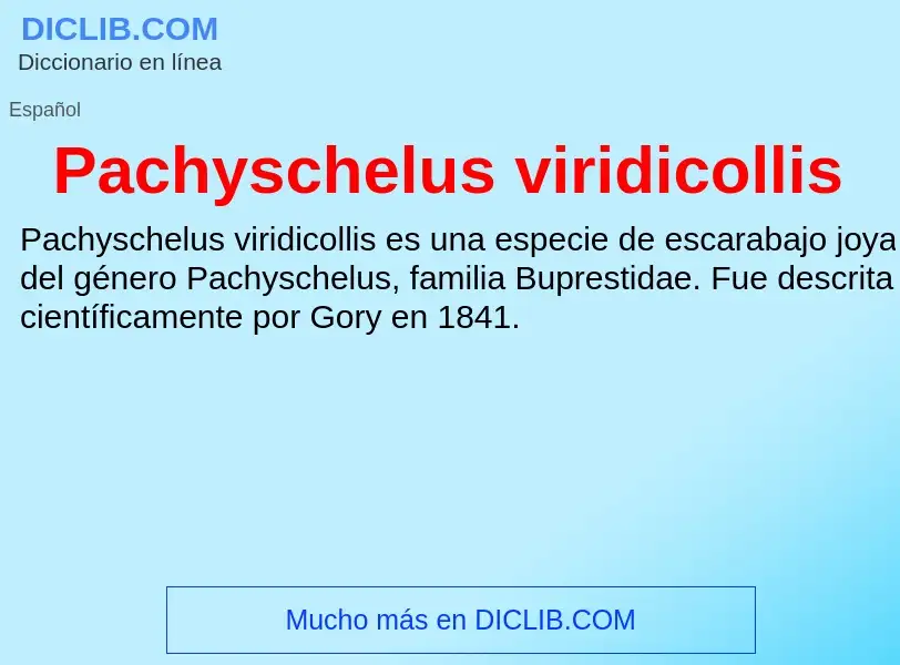 ¿Qué es Pachyschelus viridicollis? - significado y definición