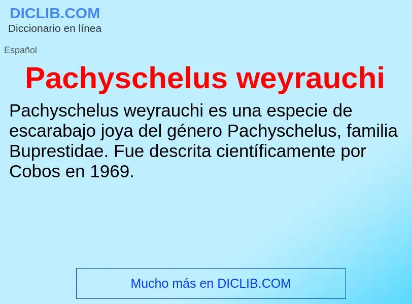 ¿Qué es Pachyschelus weyrauchi? - significado y definición