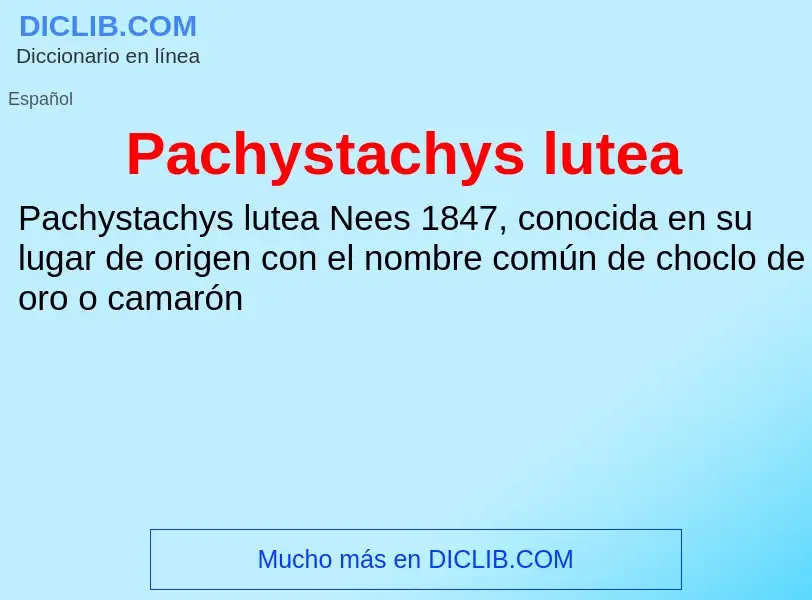 ¿Qué es Pachystachys lutea? - significado y definición