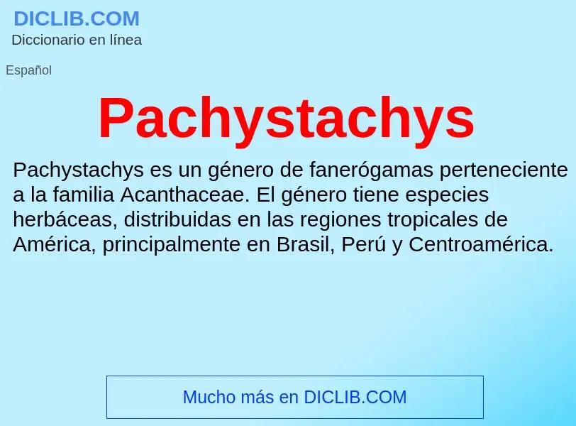 ¿Qué es Pachystachys? - significado y definición