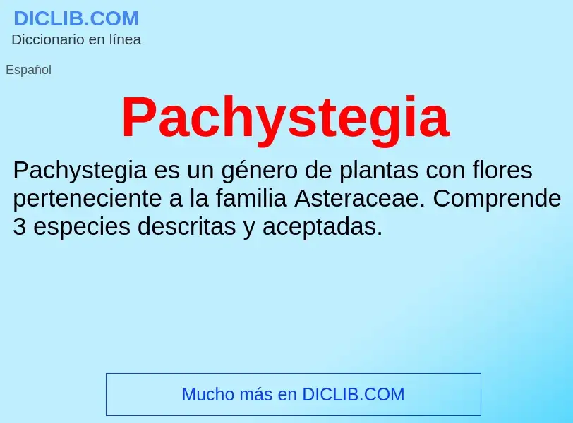 ¿Qué es Pachystegia? - significado y definición