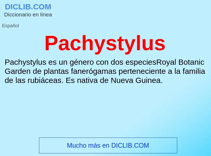 ¿Qué es Pachystylus? - significado y definición