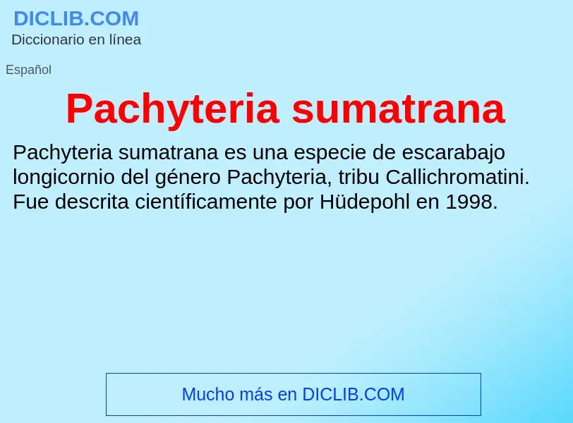 ¿Qué es Pachyteria sumatrana? - significado y definición