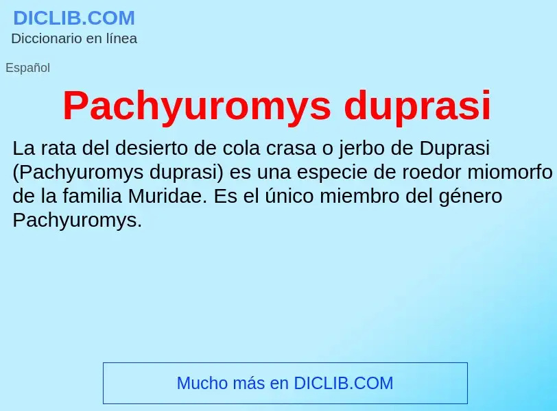 ¿Qué es Pachyuromys duprasi? - significado y definición