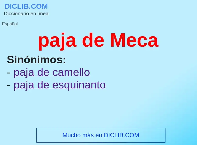 What is paja de Meca - definition