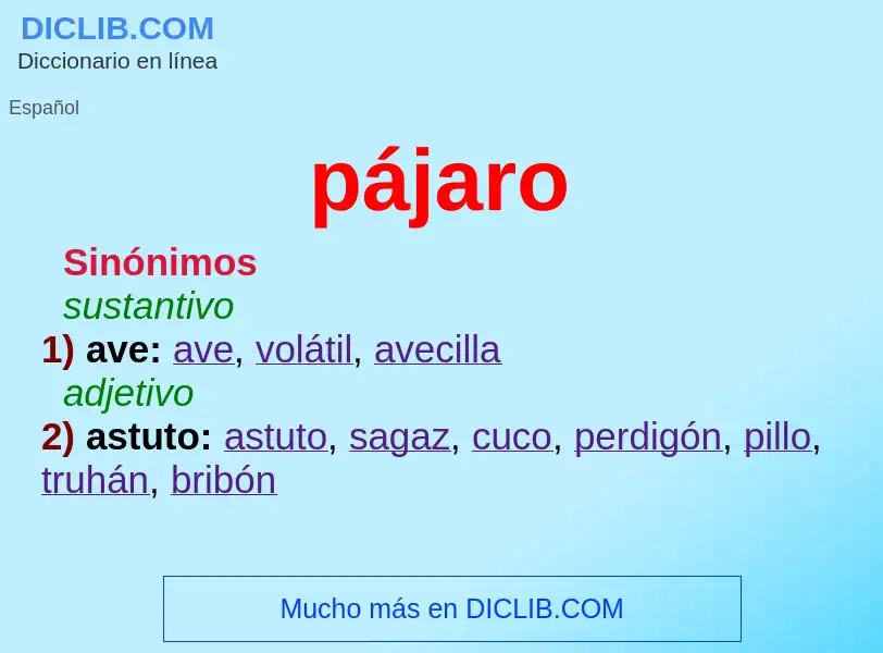 What is pájaro - meaning and definition