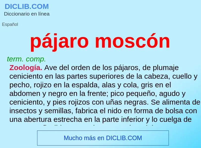 ¿Qué es pájaro moscón? - significado y definición