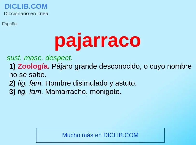 Was ist pajarraco - Definition